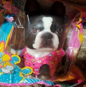 New! Puppy squishy